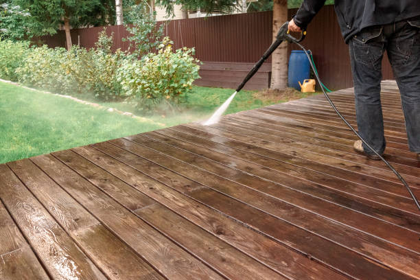 Best Soft Washing  in Saylorville, IA